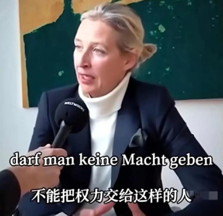 还是魏德尔有先见之明，曾怒斥墨茨执政，会对德国造成极大破坏，如今得到应验，墨茨竟