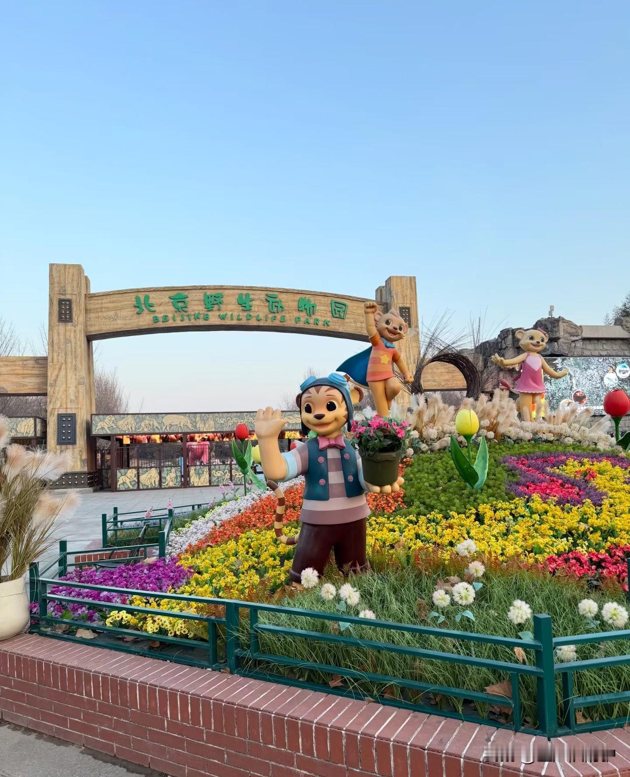 早起临时起意冲北野，心里暗戳戳盘算：大冷天的，人指定稀稀拉拉。到了才发现，哪里是