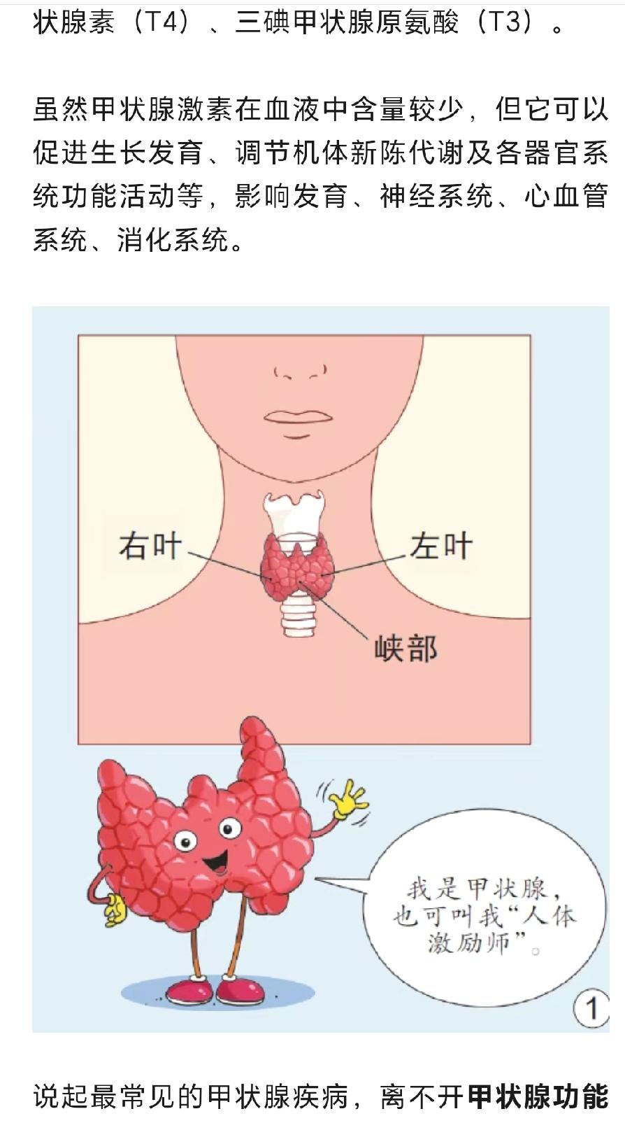 甲状腺结节患者吃加碘盐还是不加碘盐，得看甲状腺功能状态。要是甲状腺功能正常，继续