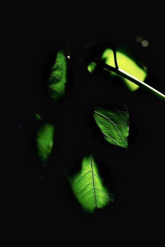 现象和本质这对CP，关系那叫一个复杂，对立又统一。现象是事物的外在表现，丰富多