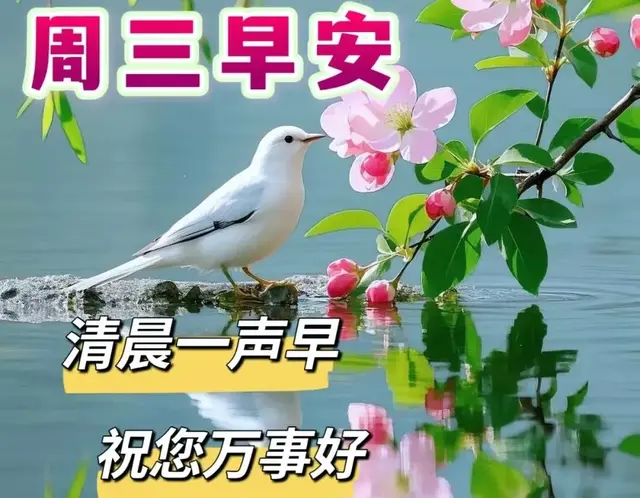 正月二十二早安祝福语: 朝暮皆存小确幸, 年年岁岁总安宁