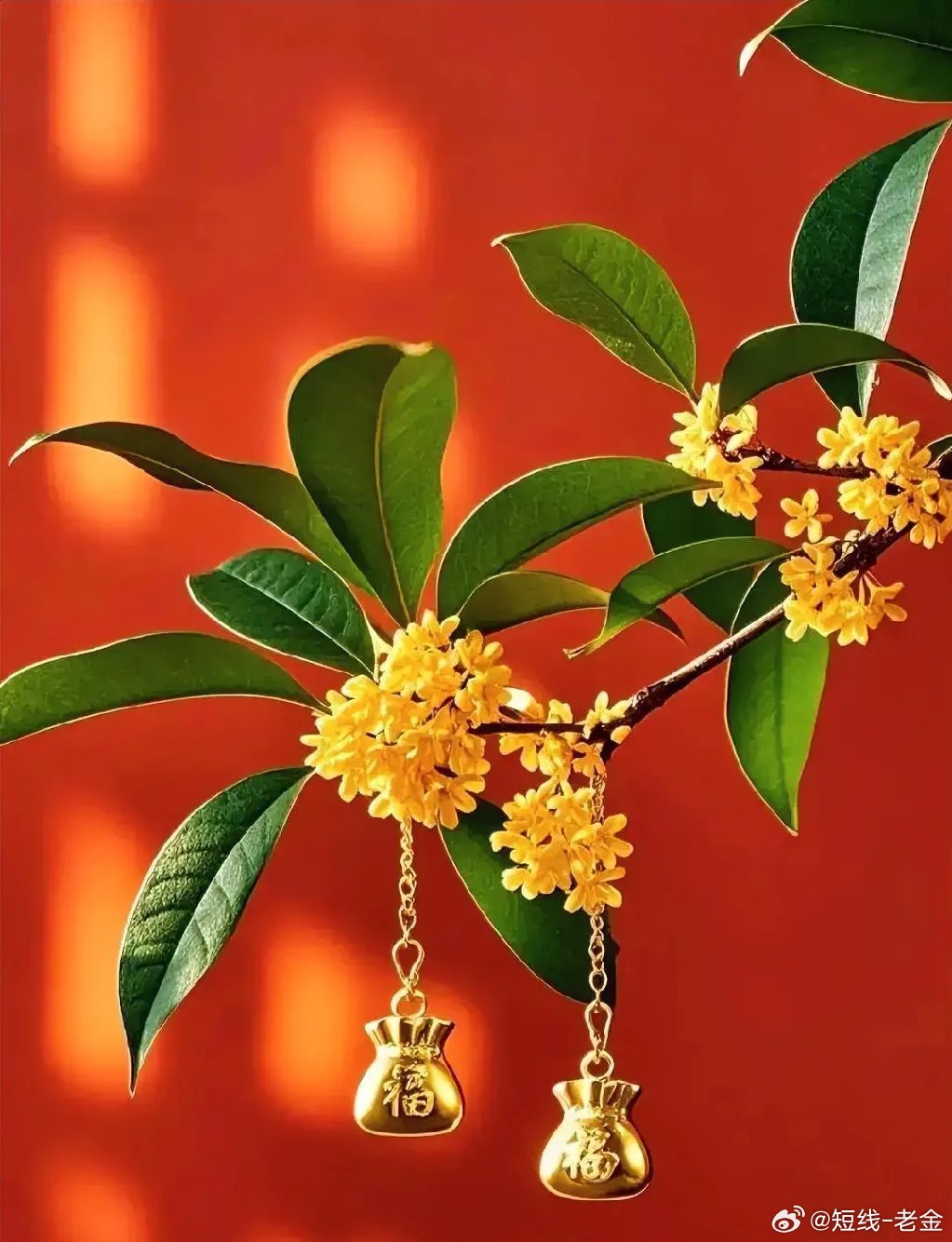 电力板块11家核心企业信息整理1. 长江电力：全球最大水电，三峡等核心电站，水风