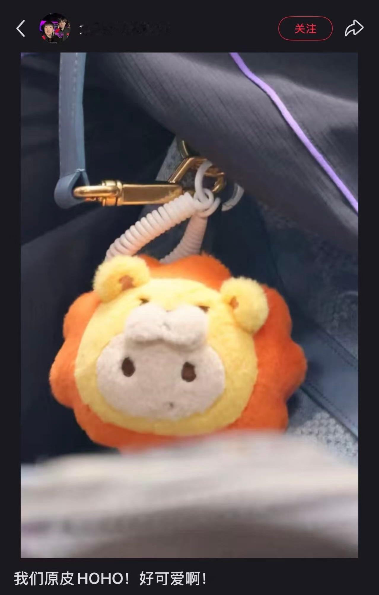 才发现哥这个ho和大家的是不一样的感觉这个原皮少爷更萌呢豆豆眼宝宝