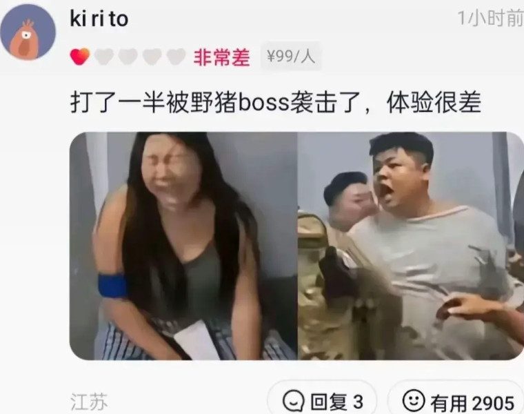 以前听过一句话，再丑的老母猪也有人去踢，果然，女的叫野猪小仙女，男的是野猪骑士