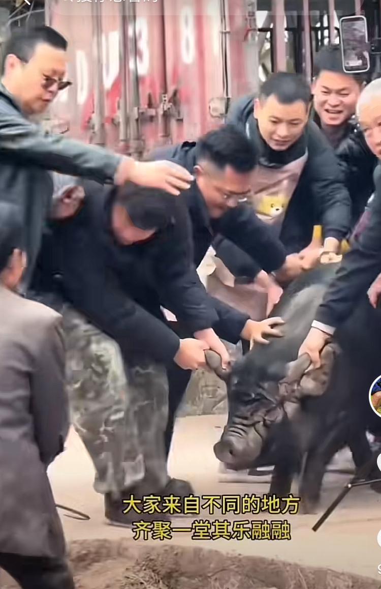 26年最会闯祸的人来了一场杀猪宴竟惊动了半个重庆！重庆女孩呆呆，看着家里的两