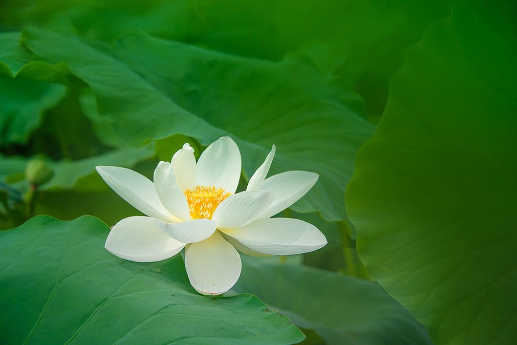 今天一天平台都在给我推送关于红楼梦的重新解读，确实有很多的巧合，如果单一的某一个
