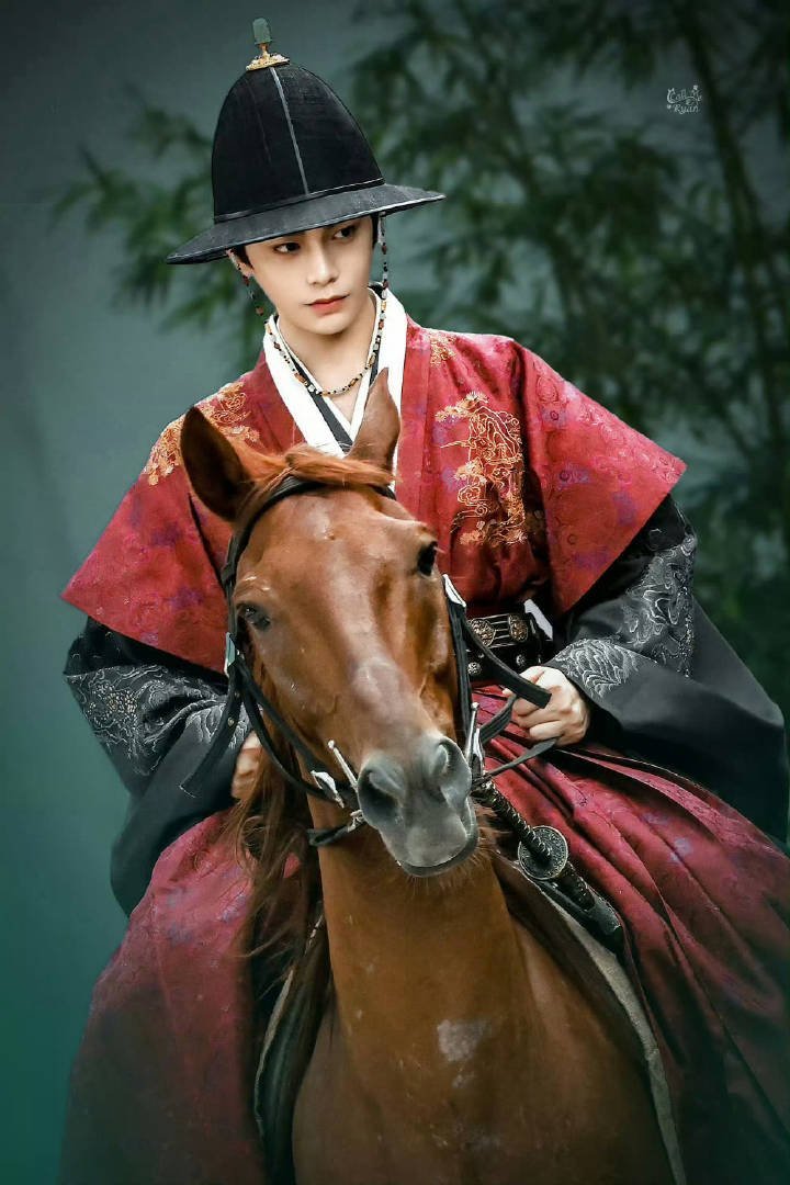 丁禹兮《花开锦绣》登WeTV海外角色热度9月第一​​​​