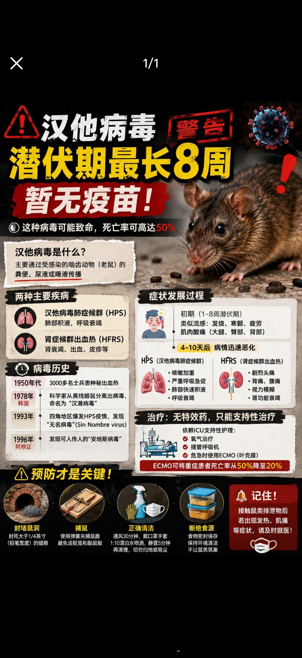 前段时间不是发现了汉坦病毒吗？我家就在昨天，阿姨发现了杂物间有老鼠屎已经清洁干净