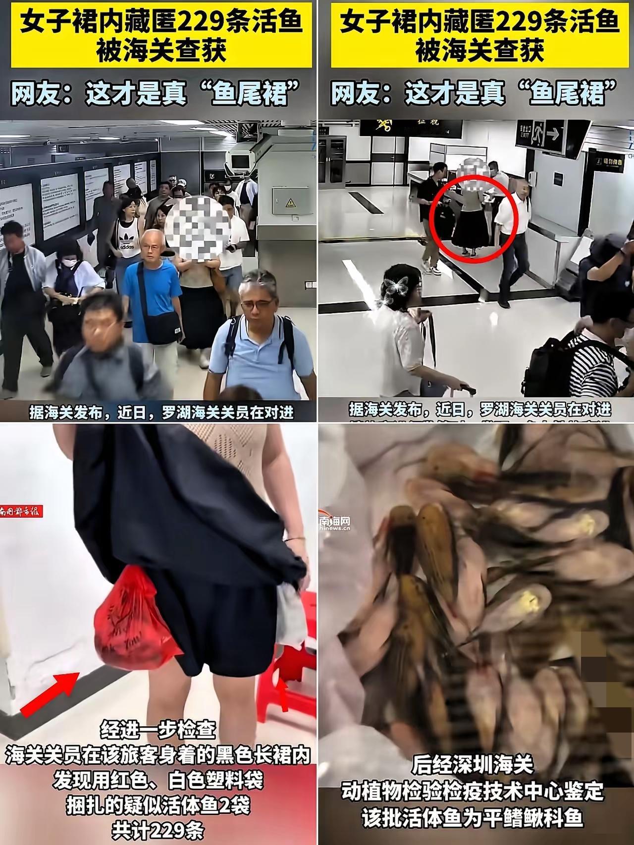 这下出名了，​不仅深圳，全国人民都知道了！​女子仅靠两个塑料袋，竟然携带22