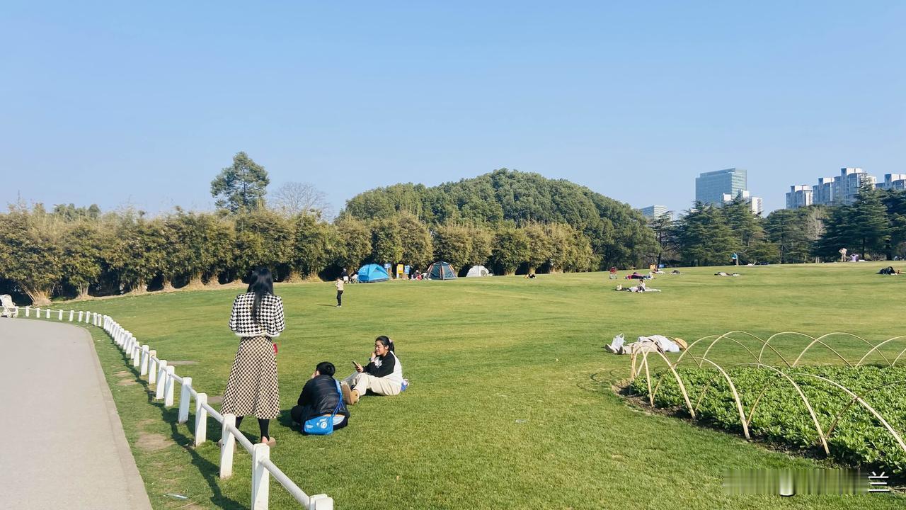 孙儿放学，一进家门，就开始像个小猴子一样，到处乱跑乱奔，嘴里不停地说着班里的趣事