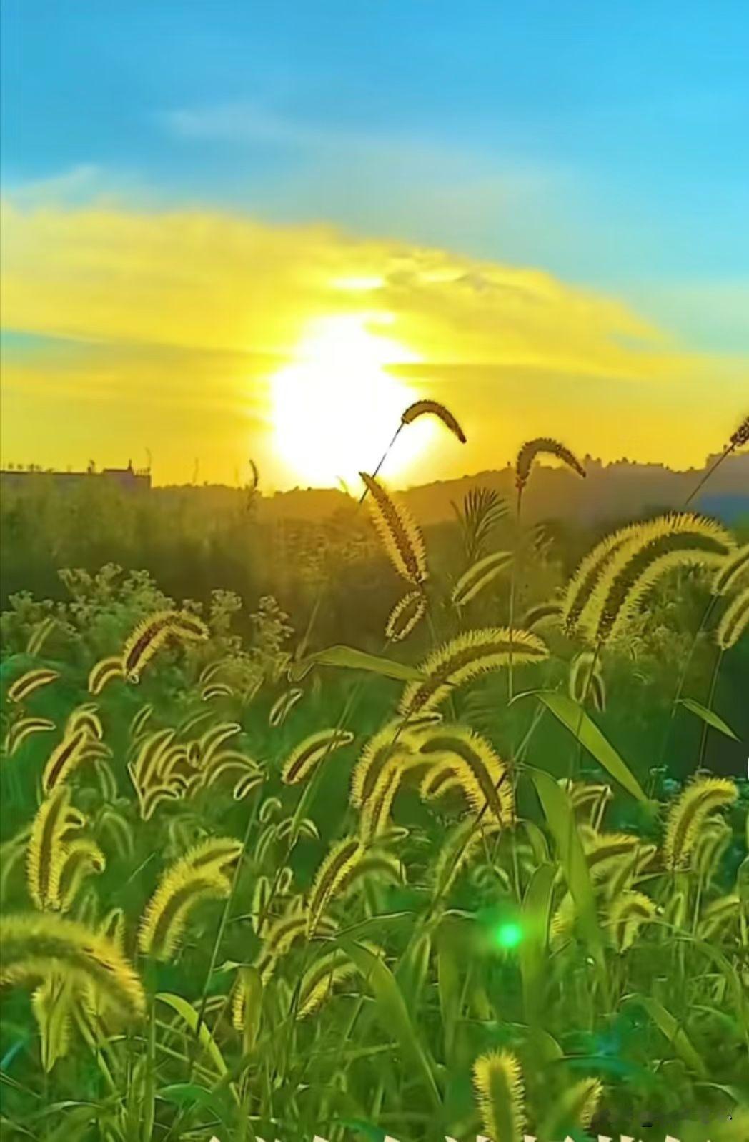一个非常准的人性规律：“只要这个人嫉妒过你一次，拉帮结派算计过你一次，他大概率会