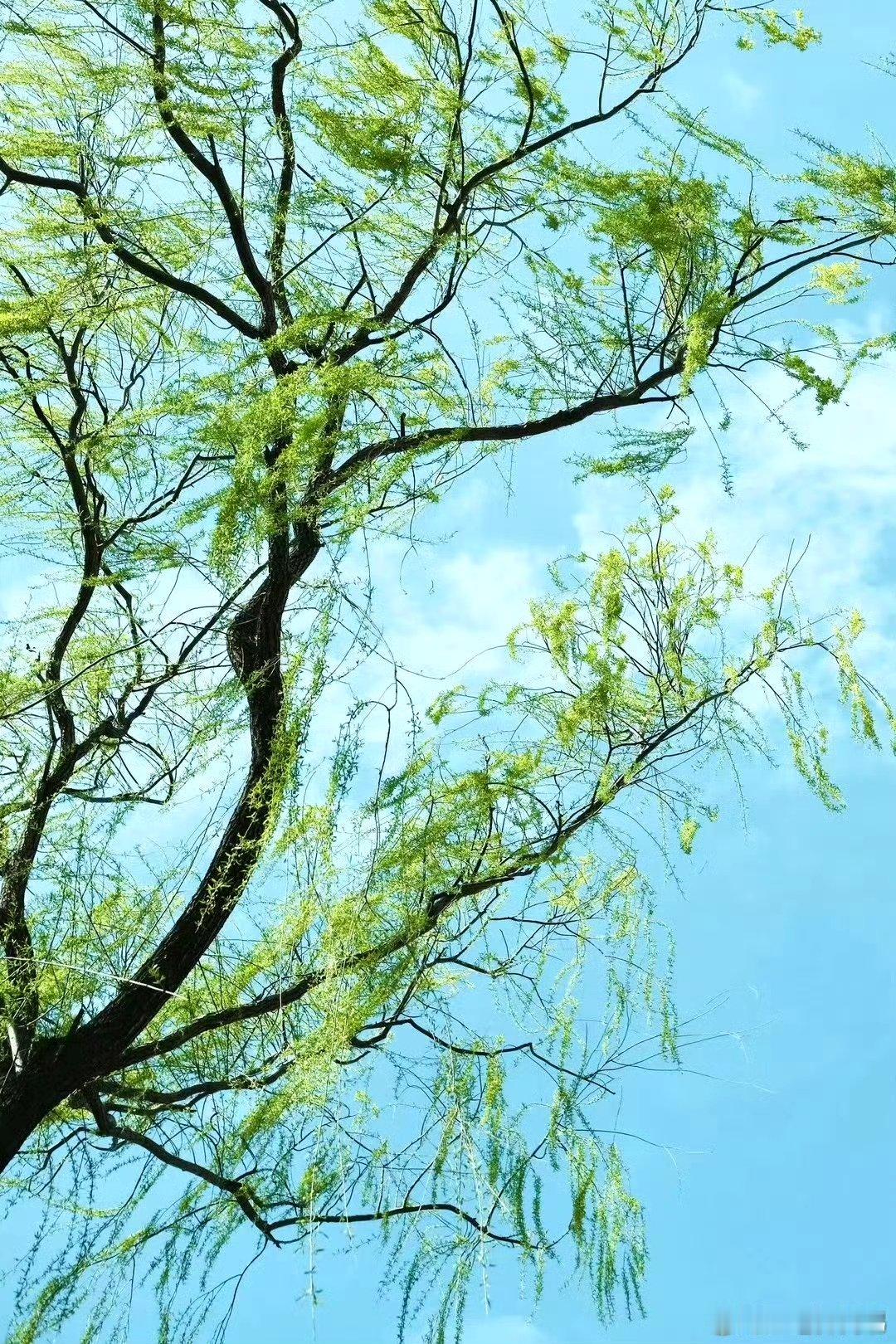 量子纠缠是存在的，一些玄学规律，冲击你的想象力1.第一：福报（不能谋取，是积）2