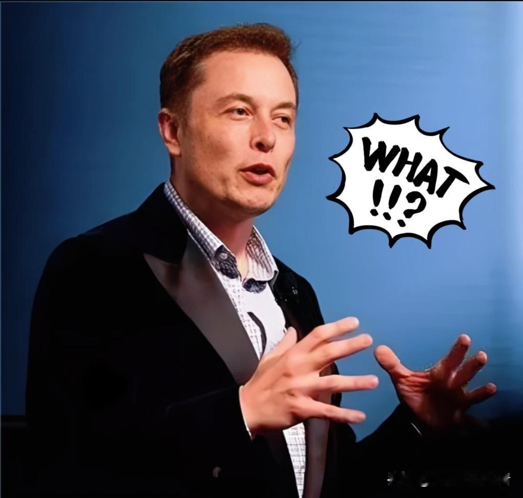 就在刚刚，美国马斯克宣布要干一件大事！11月15日，马斯克在接受采访时宣布: