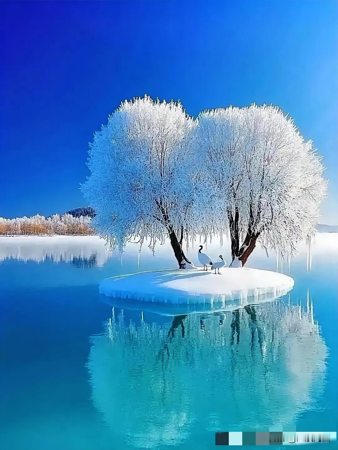 冬日仙境，冰封湖面，白鹤翩翩起舞。