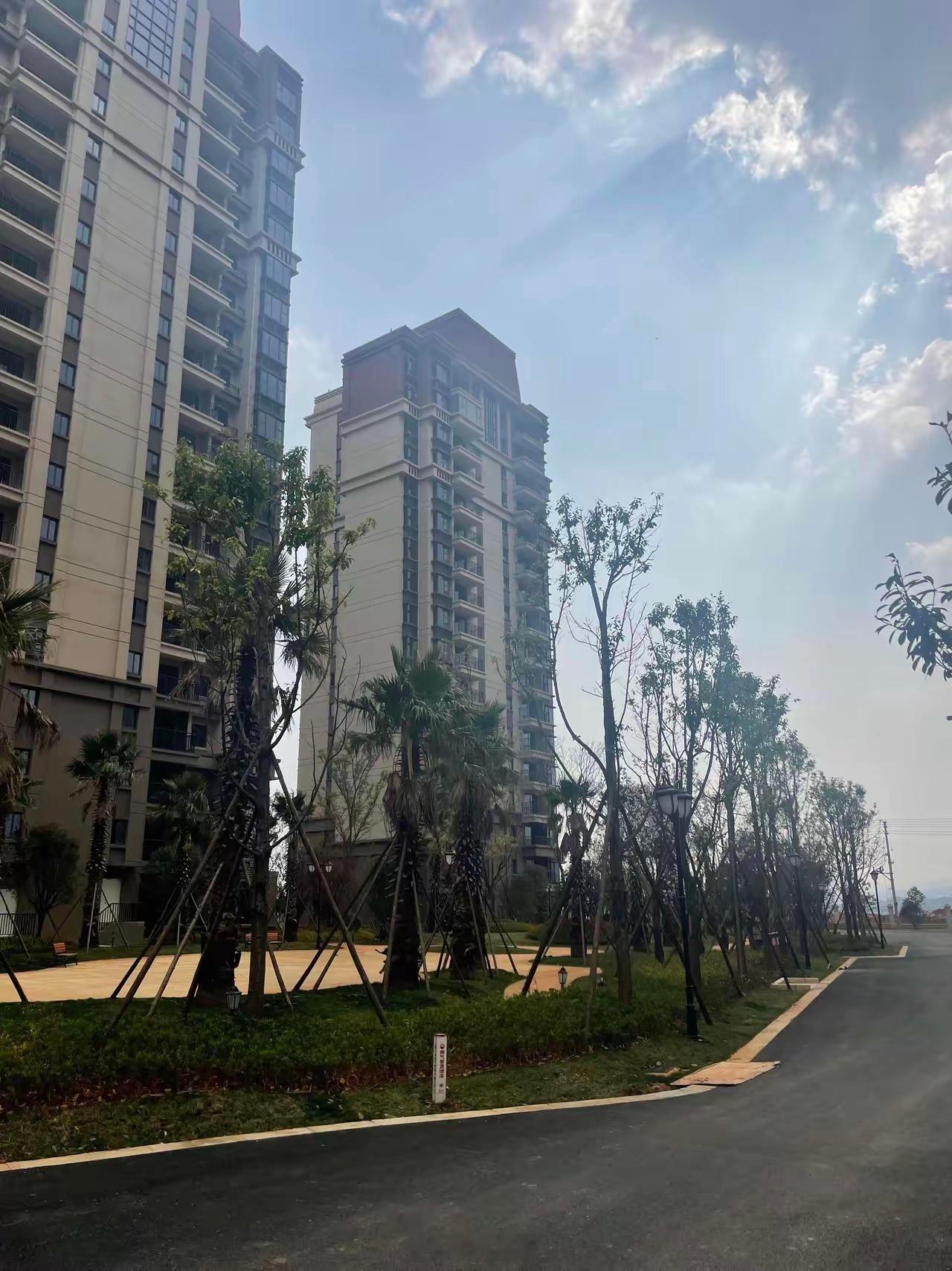 房价上涨，打脸唱衰派！不是很多人成天在网上说房价不会涨吗？不是说还要继续跌下去吗