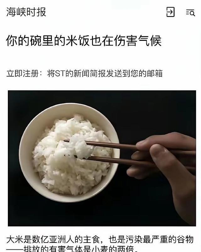 新加坡媒体早年曾报道：你的碗里的米饭也在伤害气候！回顾当年这篇文章，称水稻种植碳