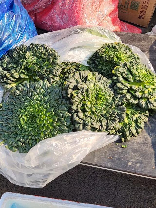 你知道这种菜的菜名吗？昨天我去早市看到一种从未见过的菜，问了一声卖菜的老板这是