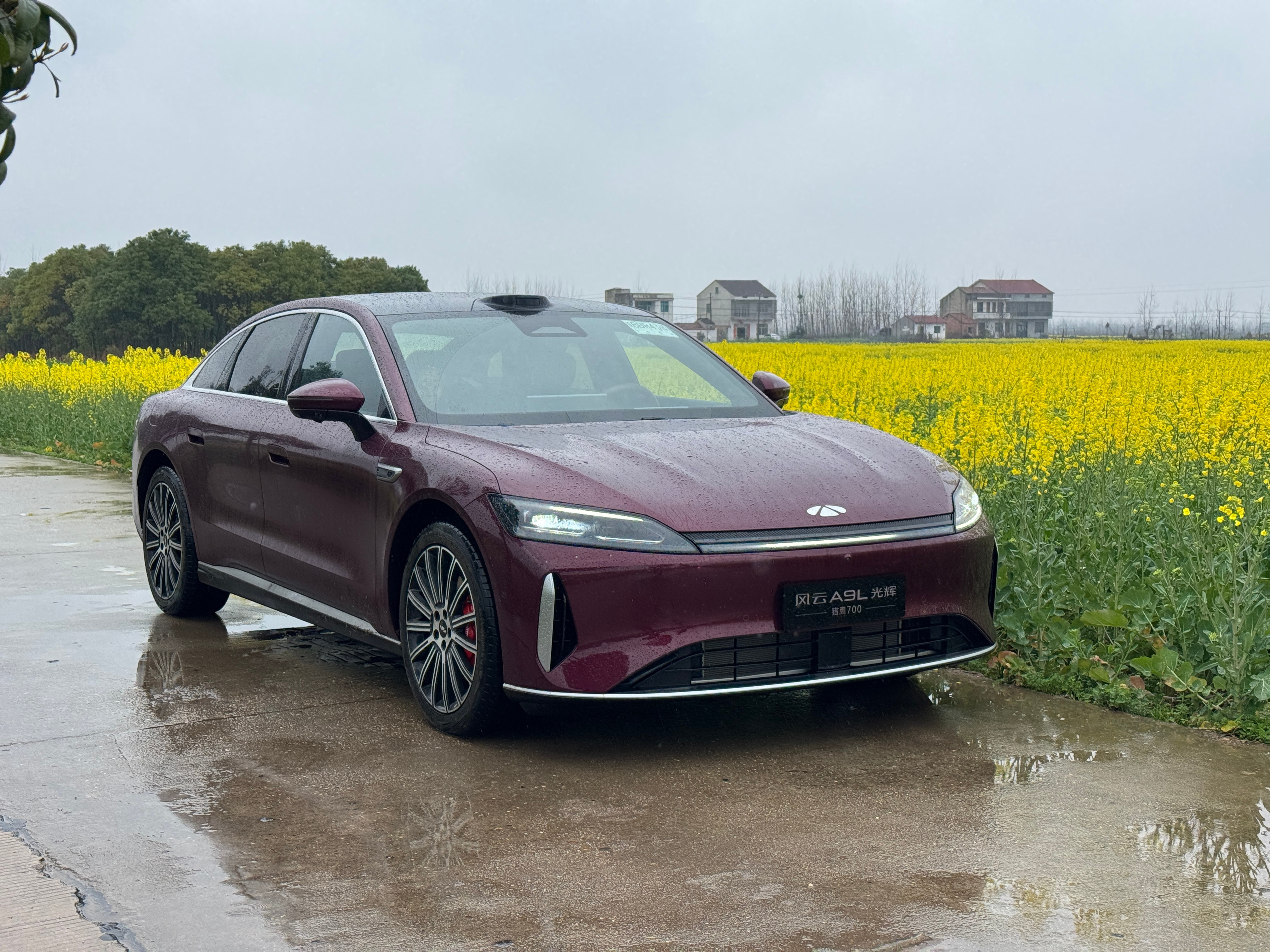 除了下雨，目前感觉还挺好的