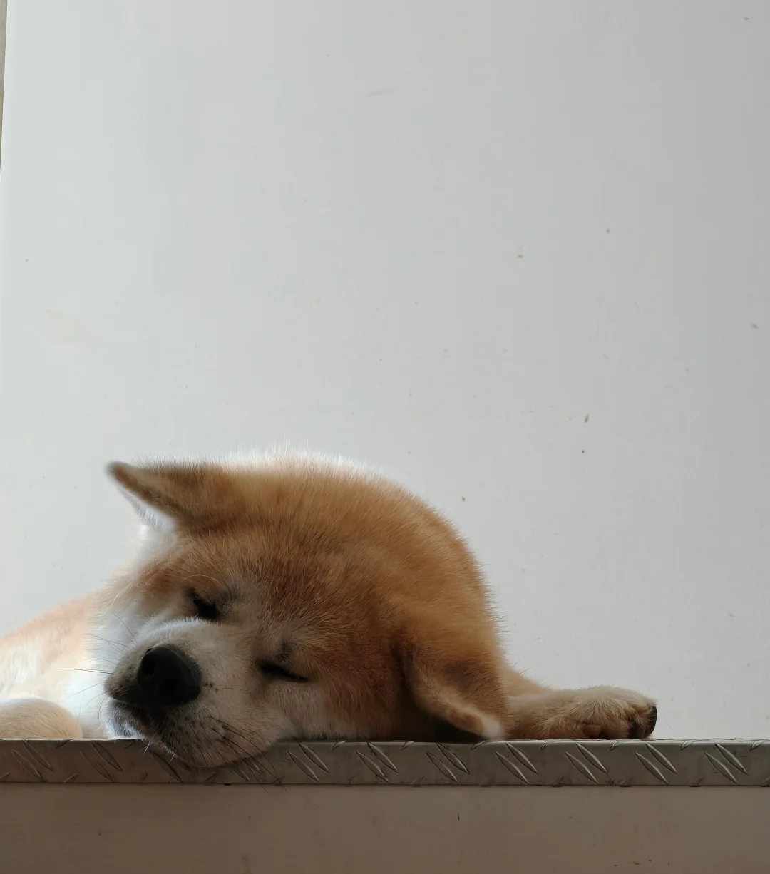很安详
