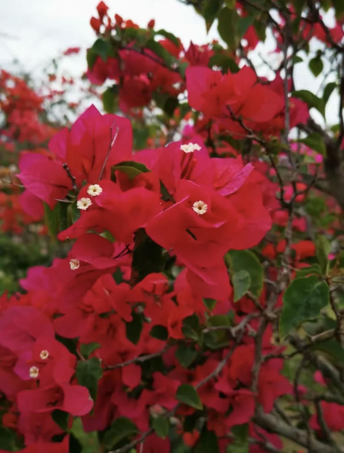 现在治病还能选择中药吗如果确实想吃中药怎么选不吃中药的理由1.医生水平