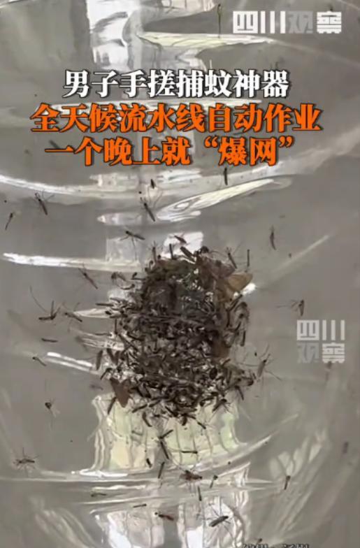 “人怎么能这么聪明！”福建厦门一位男子就被蚊子咬到怀疑人生，整晚睡不好觉，浑身红