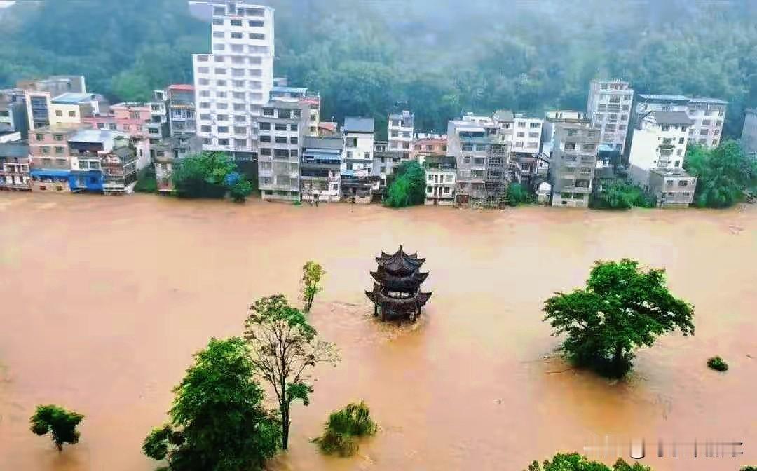 广西这回遭了大灾，看着横州、宾阳那边洪水漫过屋顶，十几万人背井离乡，心里真不是滋