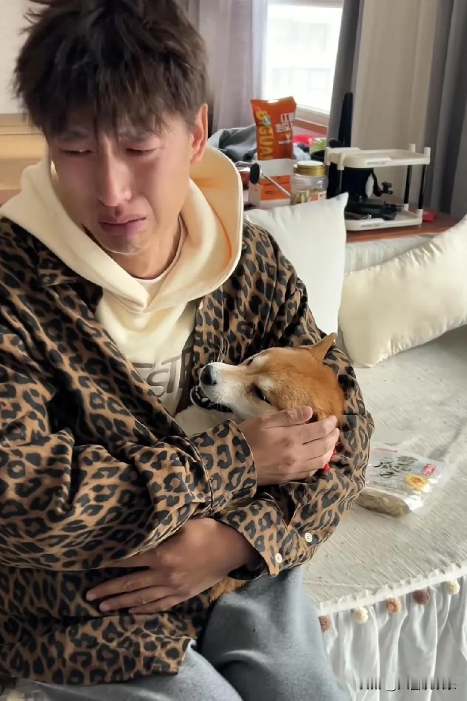 网红狗小柴佩奇被害离世，主人悲痛万分。网友在线支招，希望找到害狗的凶手。狗