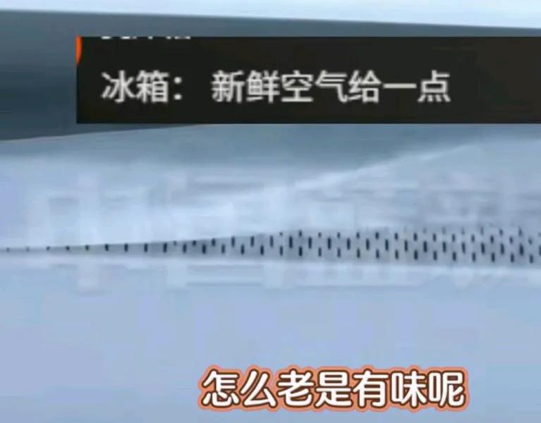 看你家的冰箱有没有撕膜？女子说她家的冰箱是搬家的时候买的，三年了，总感觉有味道，