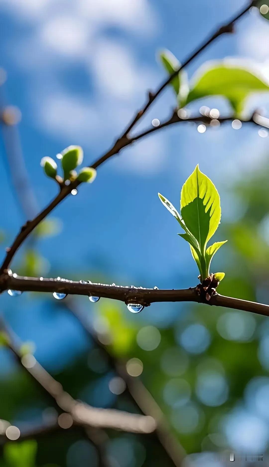 心理学家说:“告诉你一个秘密，不回应的力量非常强大，只要你不回应，所有的恶意都