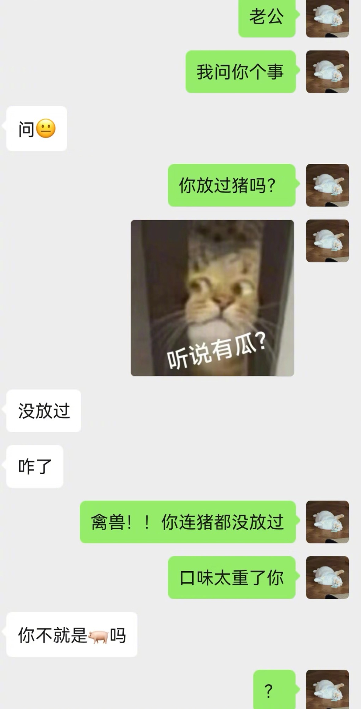 和男朋友聊天不必太正经