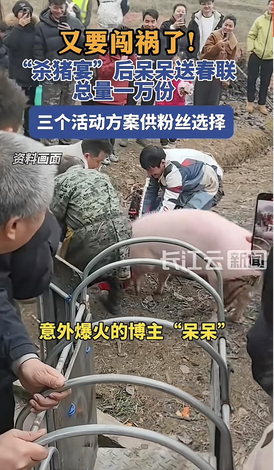 呆呆妹要手写一万份春联送粉丝，这事儿一出网友全炸锅了。她给出三种赠送方案，更倾向