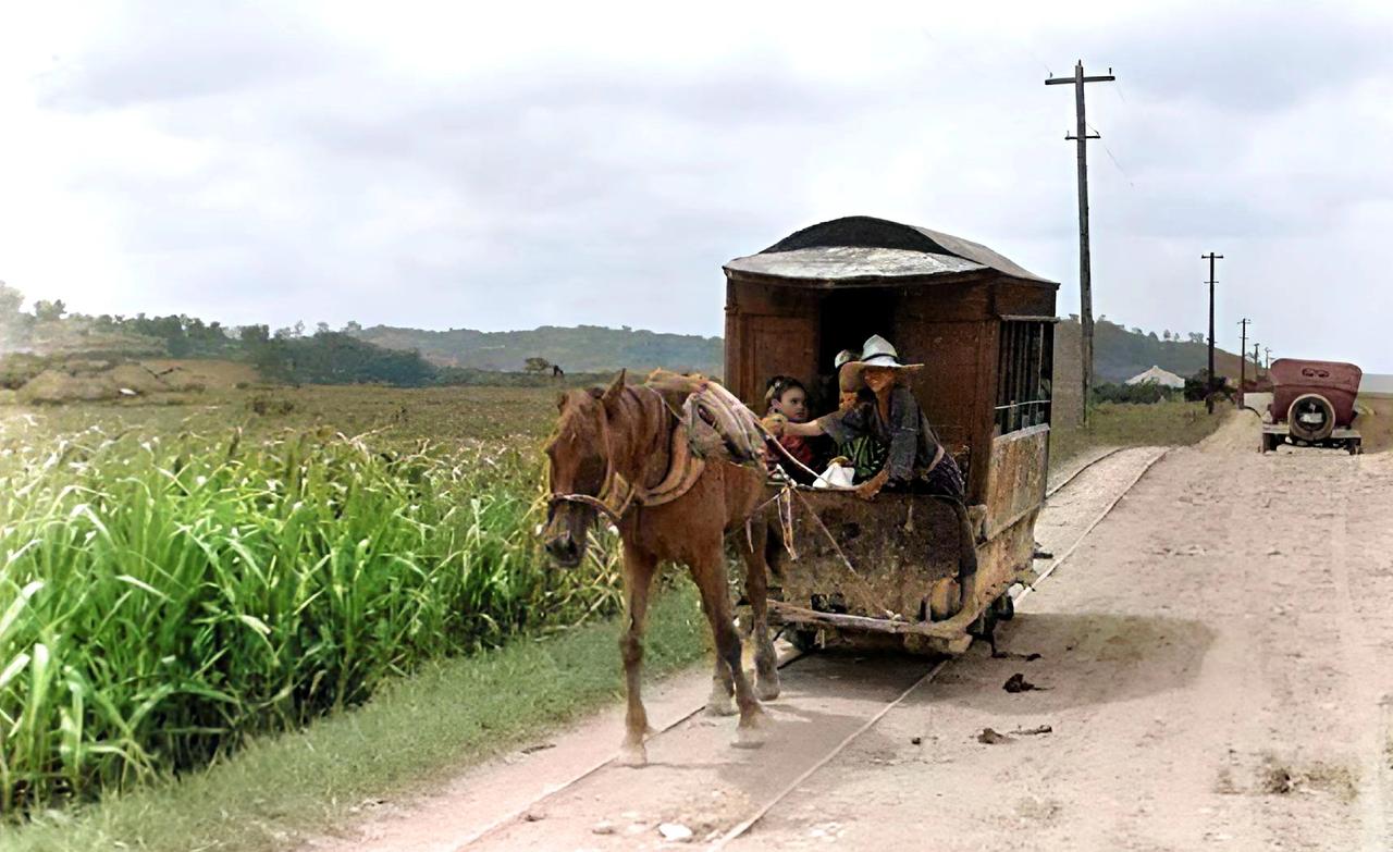 30年代，在琉球群岛上，有一种很奇特的交通工具——有轨马车。它不要烧煤，也不要用