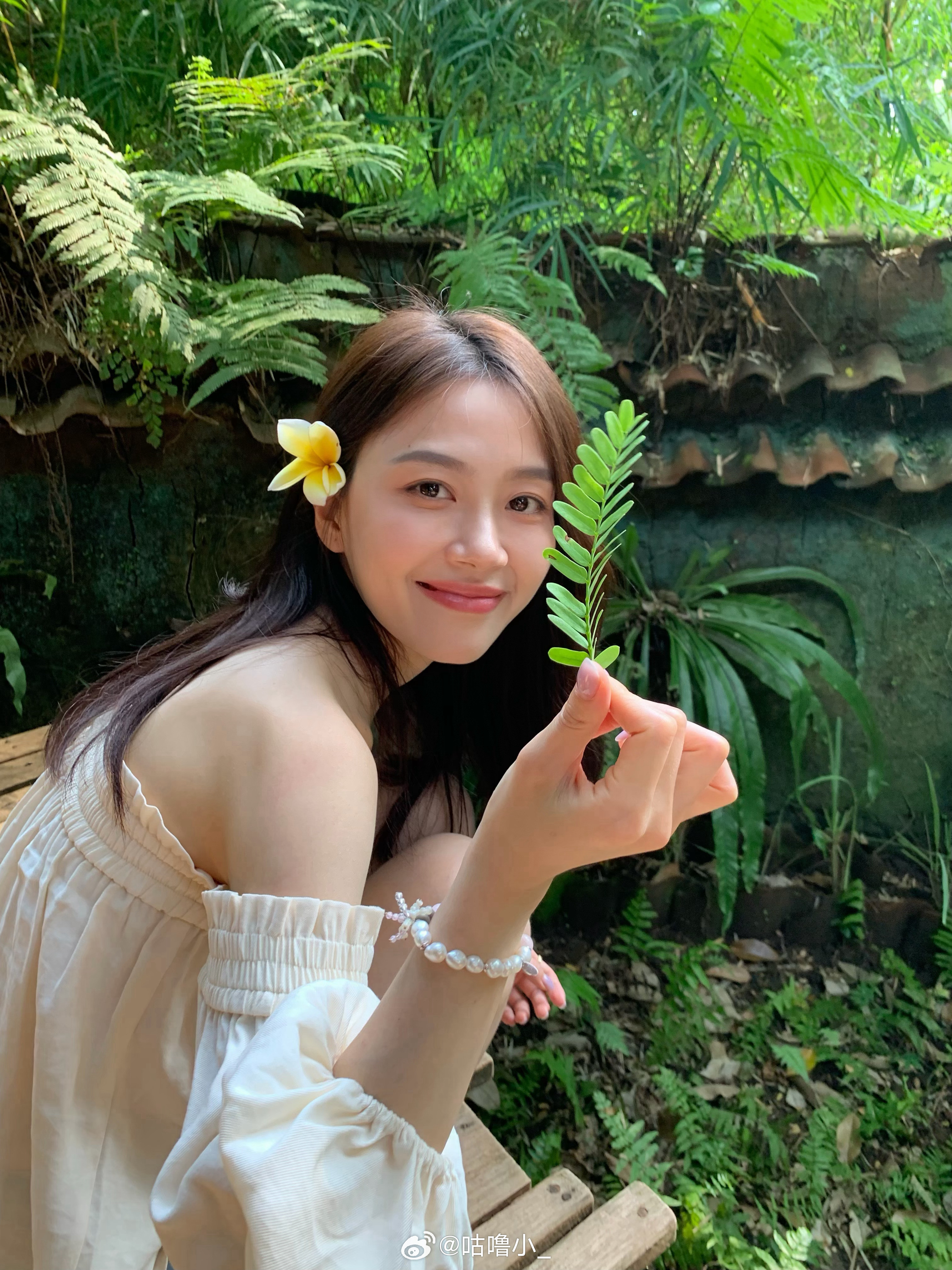 当一棵植物🌿🌼