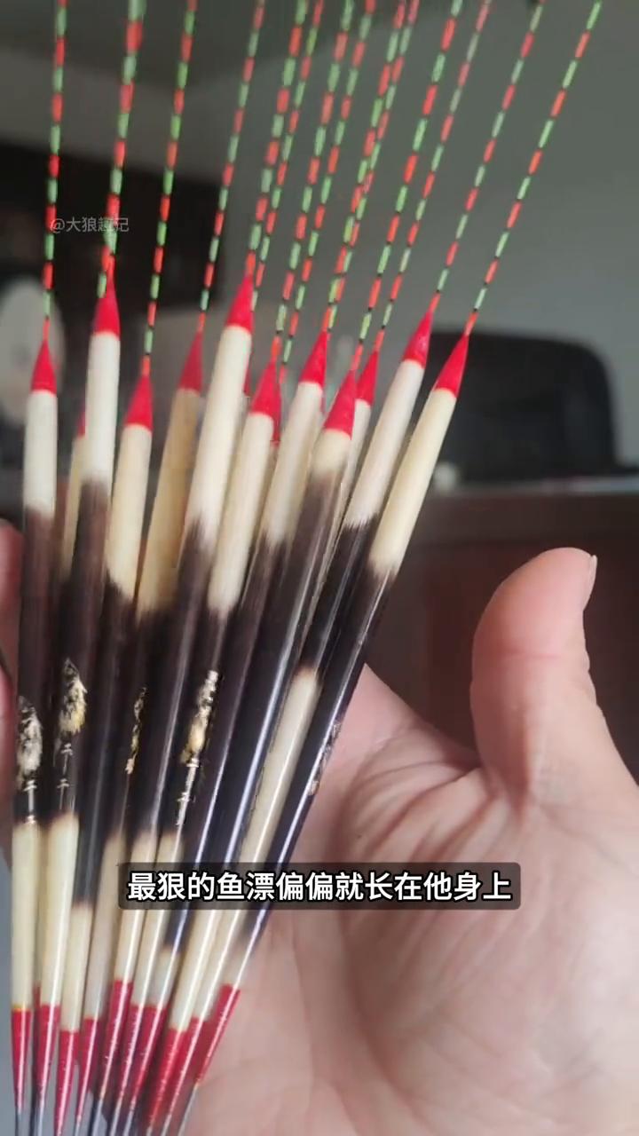 豪猪刺的秘密。注意看，男人为什么要用指板去碰豪猪？这不是普通动物，它身上每一根