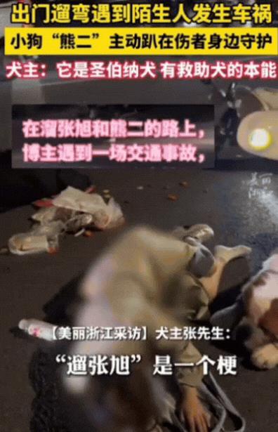 “太有灵性了！”近日，黑龙江，男子出门遛狗，遇到2个女生发生车祸，趴地上动弹不得