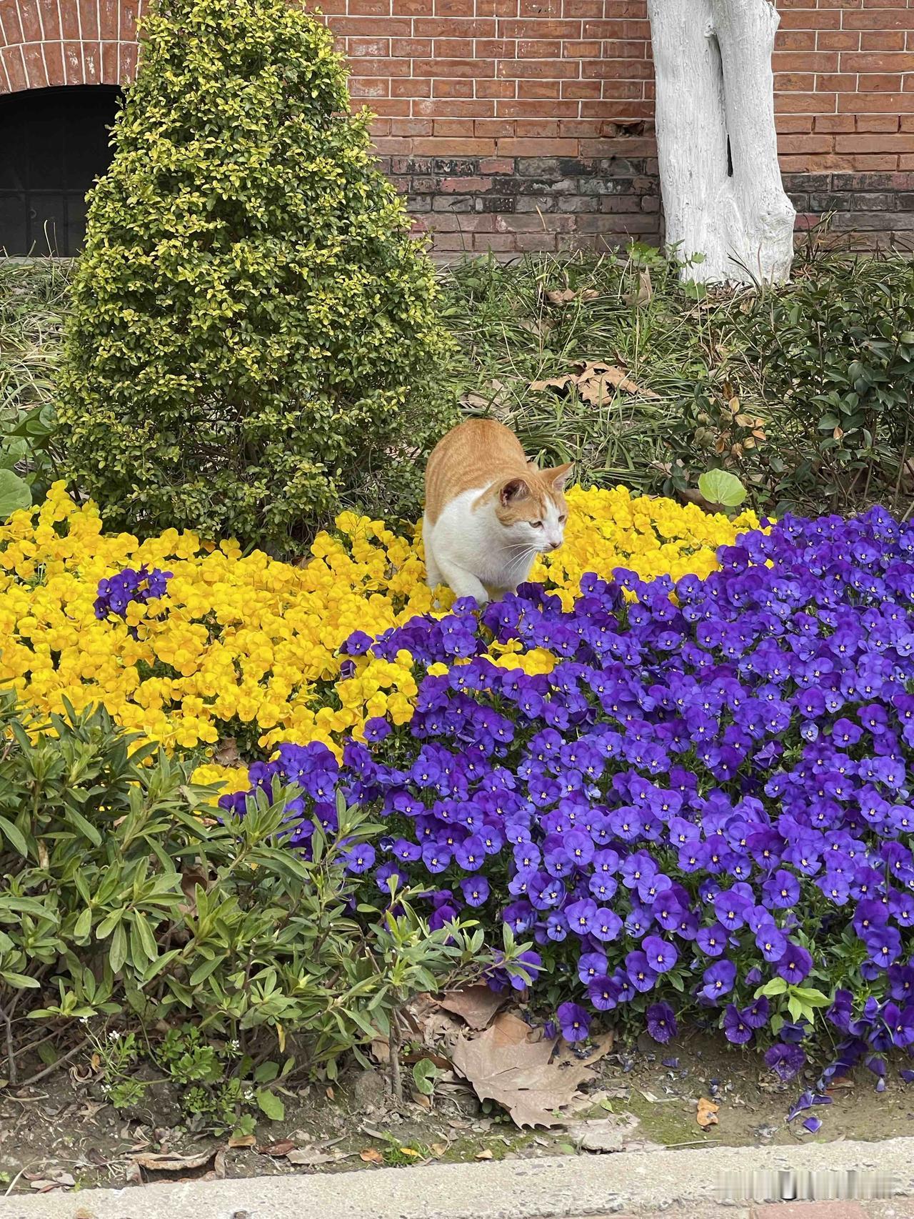 做预约检查需要提前签到。我这次做超声检查，预约检查时间是上午8点半。因