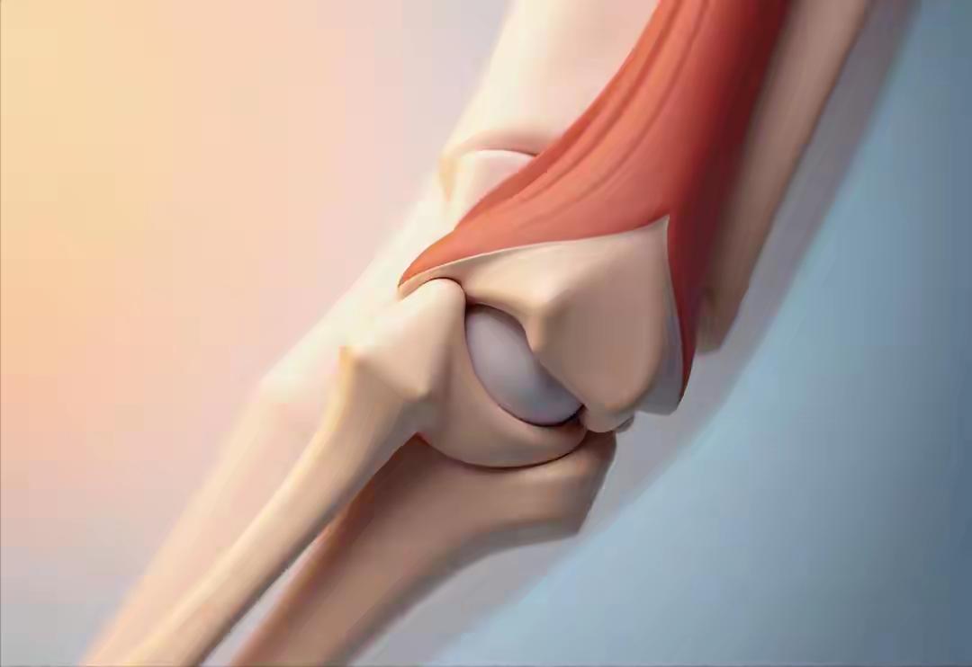 🦵半月板越用越少，且不可再生！千万别再做这3件事了“医生说半月板磨损了，