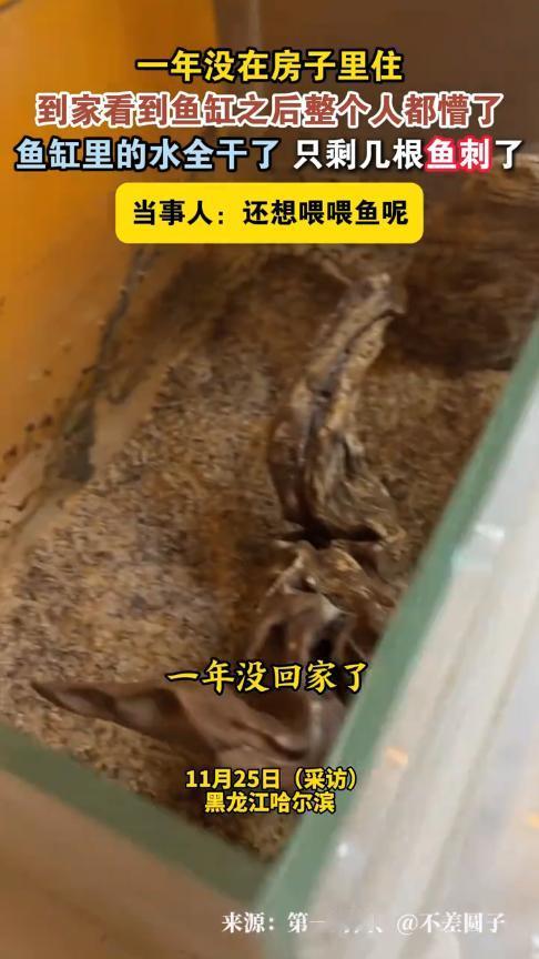 “离了个大谱！”11月23日，黑龙江哈尔滨，一女子在家里养了一缸鱼，收拾完后就搬