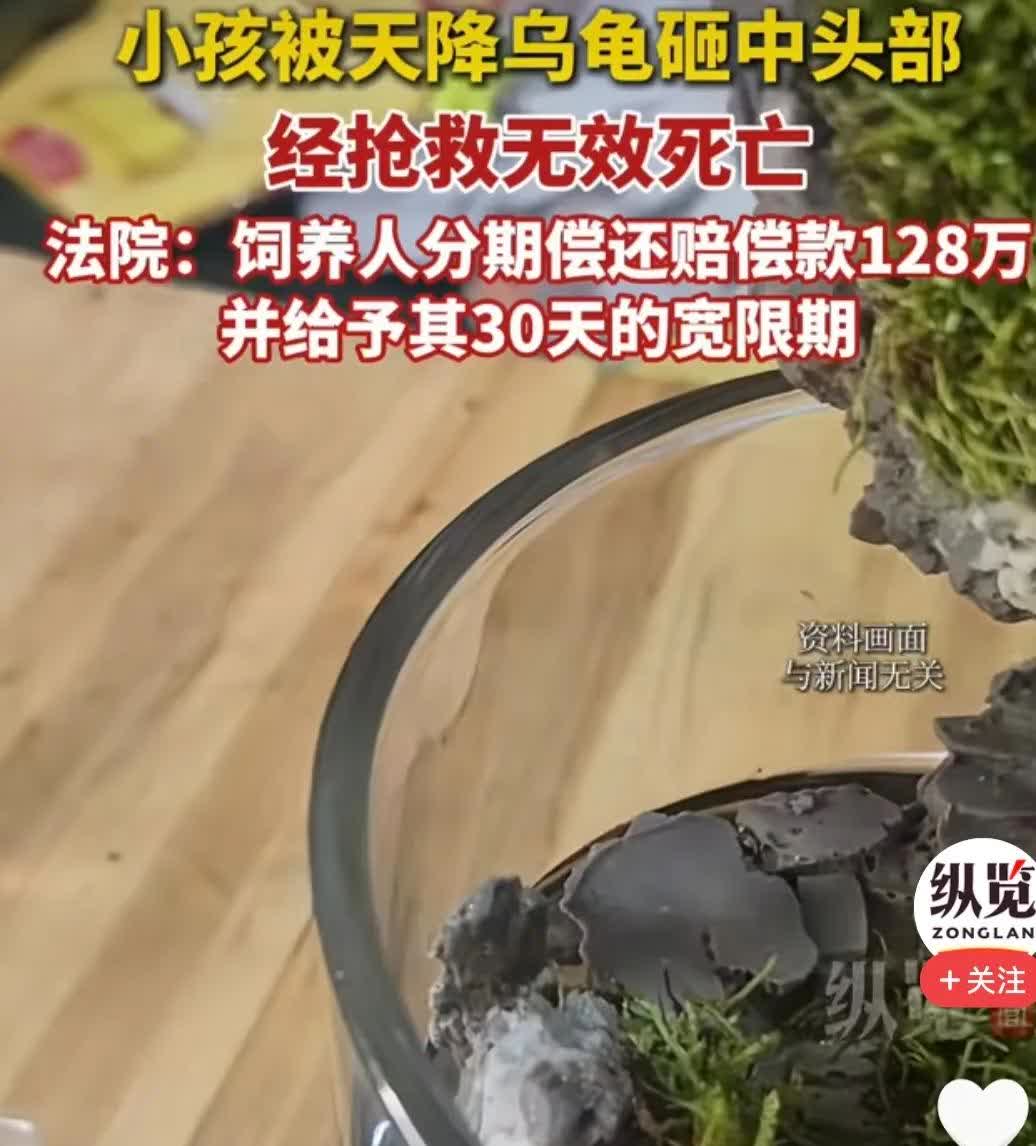 太痛心了一条命就这样没了赔偿再多也换不回孩子小孩在小区好好走着，