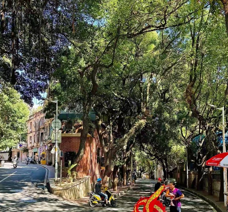 社保新规一出来，我这超市也得跟着变。本来有七个收银员，现在准备上无人收银系统，就
