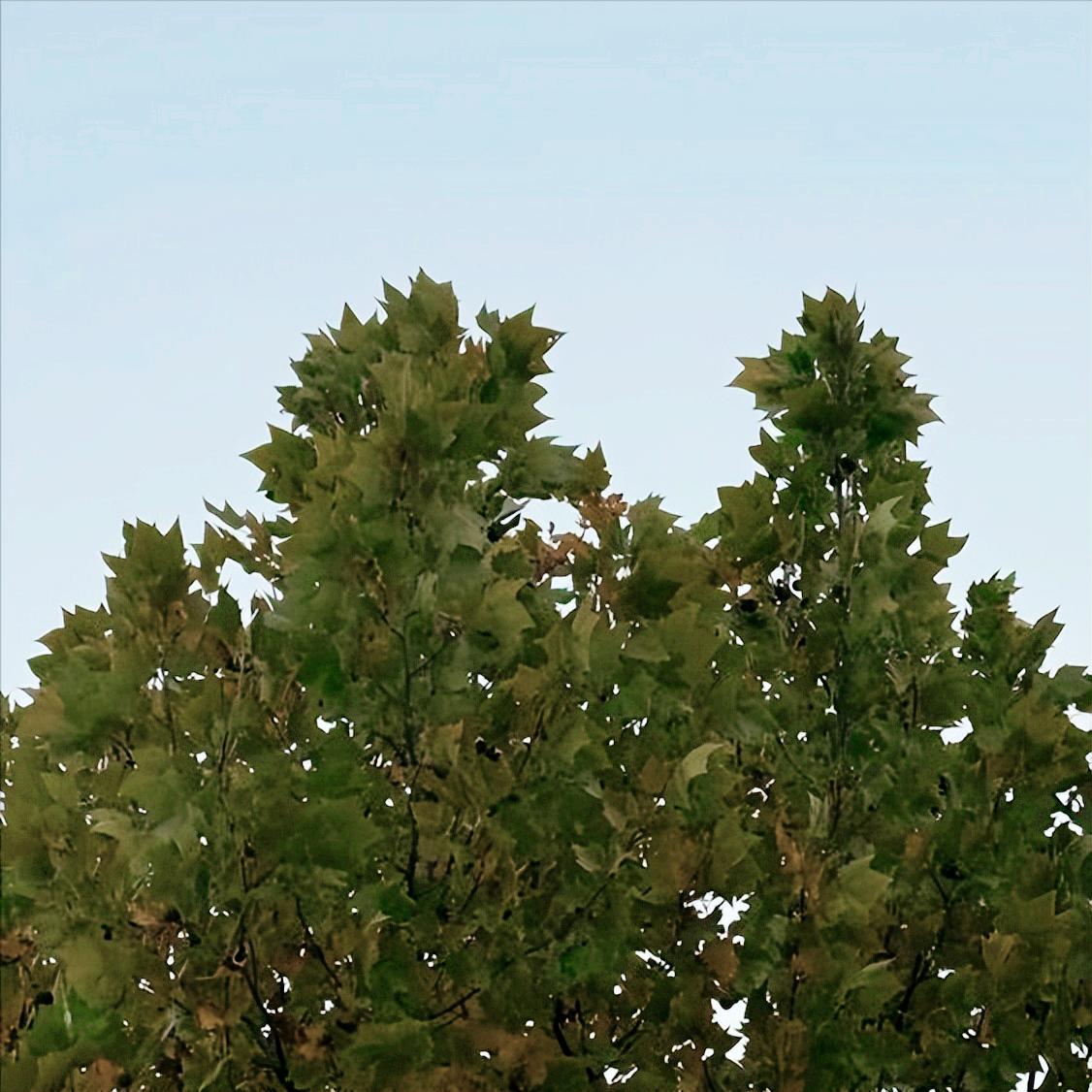 一则信息  关于武汉市东西湖区原官员的 12月12日，一则关于该市东西湖区