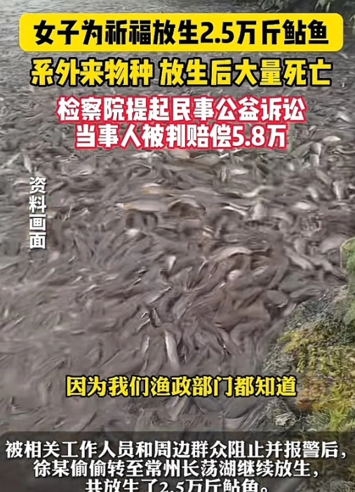 常州女子花九万买鱼放生引生态灾害耗时半月打捞赔偿五万八最近常州发生件事，有