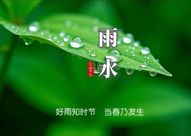 最美古诗词|今日雨水: 落在诗词里的春雨, 美了人间, 醉了心扉