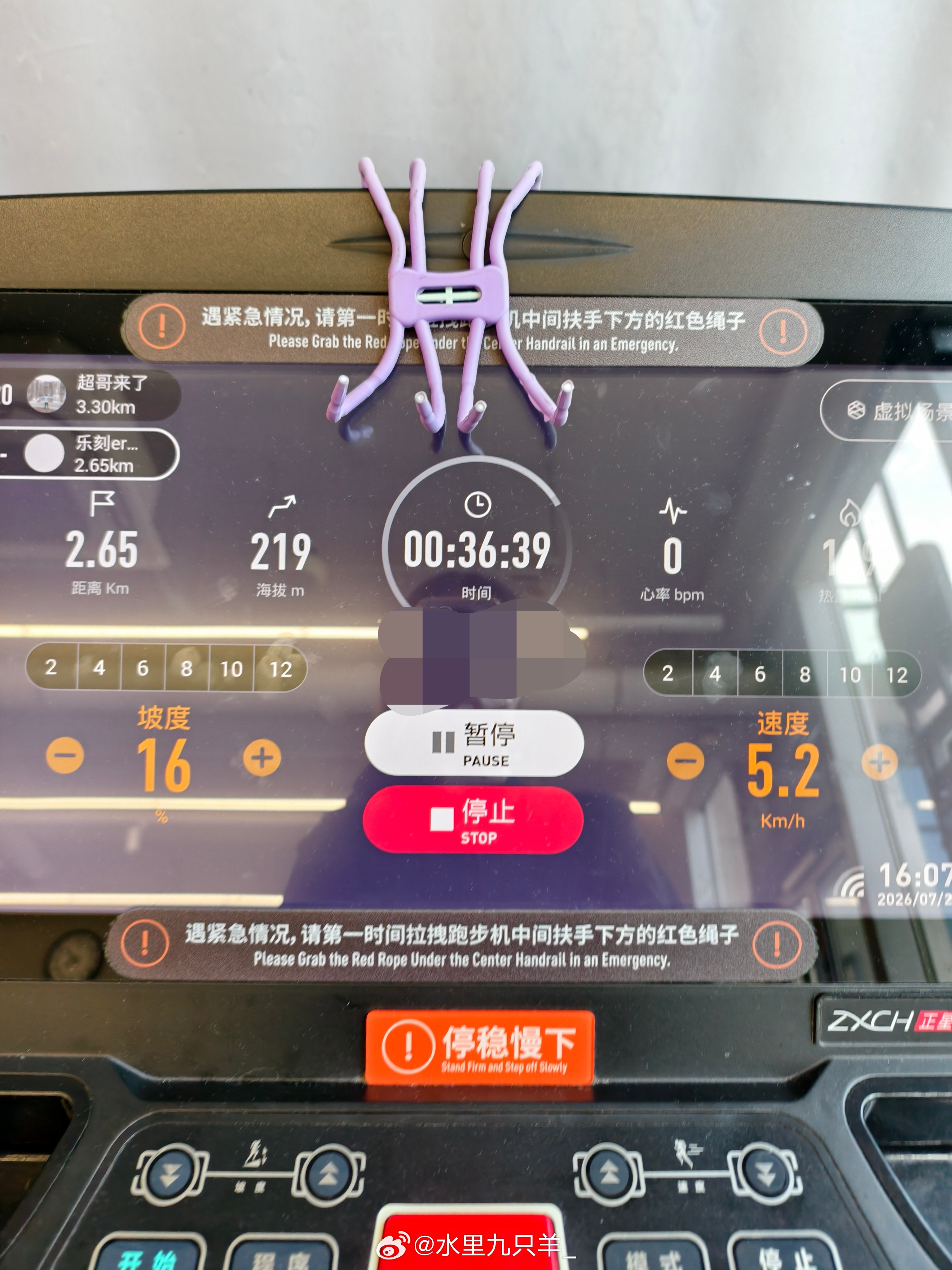 爬上了豹豹猫猫的爱情高坡（✘