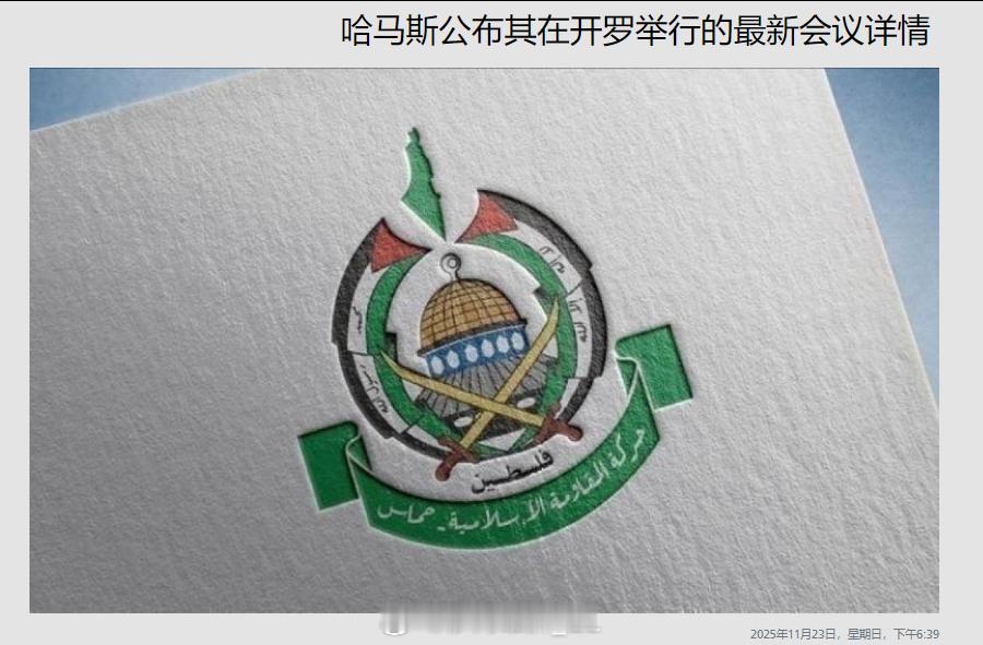 巴勒斯坦“哈马斯”运动领导委员会主席穆罕默德·达尔维什在埃及首都开罗会见了埃及总