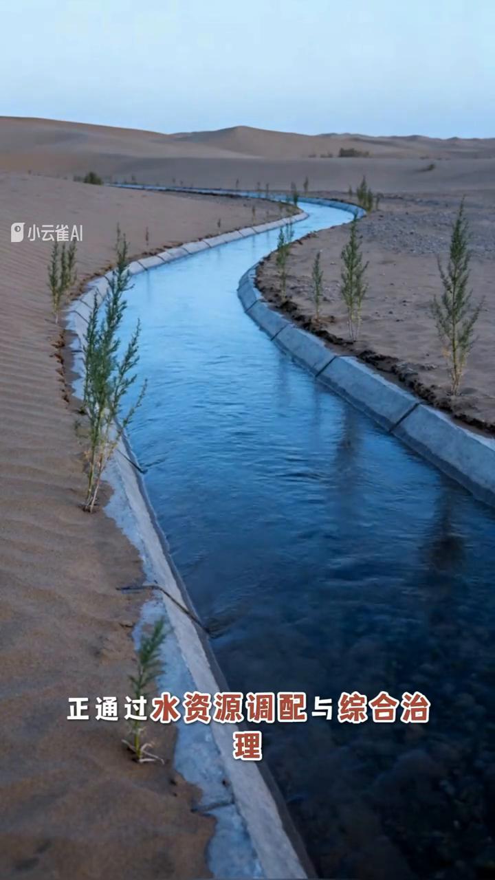 在新疆塔里木盆地沙漠化正威胁着罗布泊的生态平衡，新楼兰计划正通过水资源调配与综合