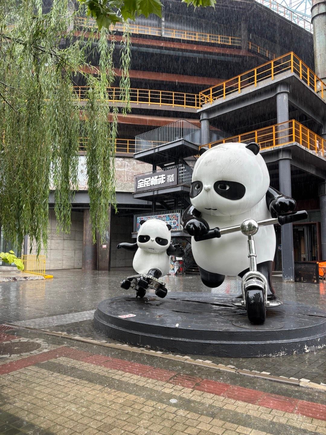下了一整天的雨，真正的秋天从今天开始。北京的秋天秋雨​​​