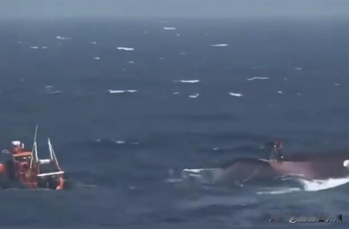 两中国渔船在韩领海连续沉没，结合现场搜救视频，网友们进行了大胆推测……这两