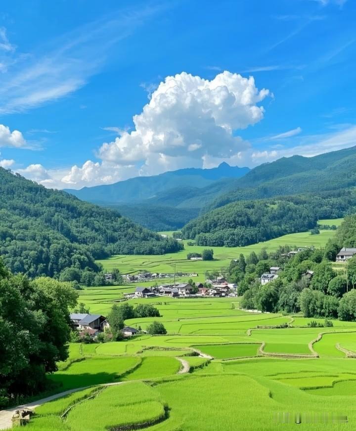我的家庭地位，看儿子称呼就懂上高中：俺妈上大学：妈读研究生：喂公务员
