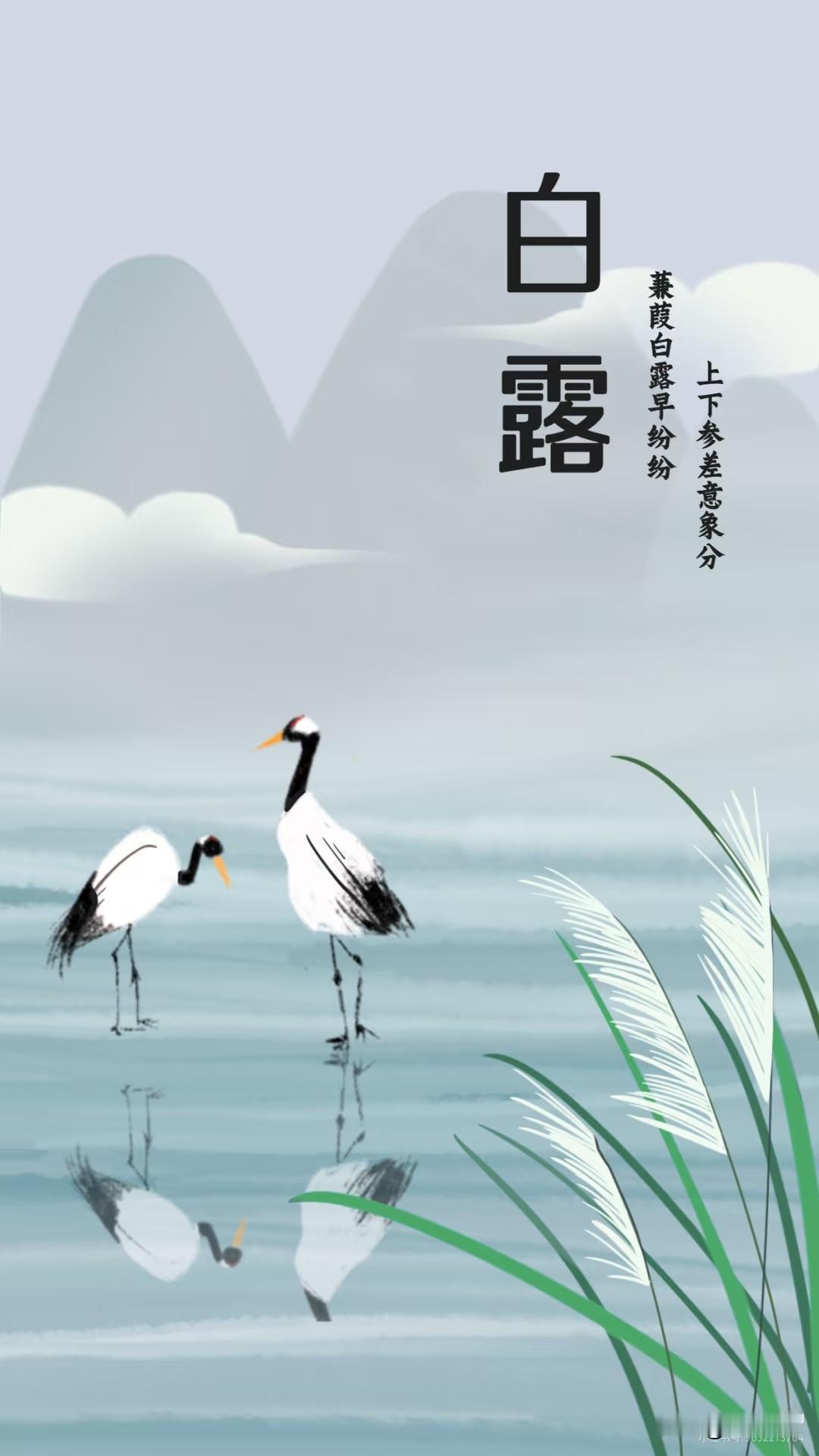 白露早，寒露迟，秋分种麦正当时。再有半个月就该种麦子了！想起来在农村插队，